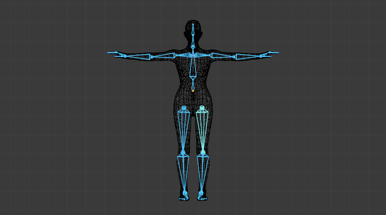 ../../../_images/rigging_skinning_introduction.png